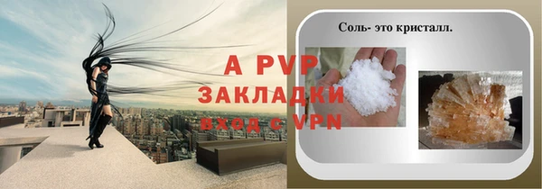 спиды Абаза