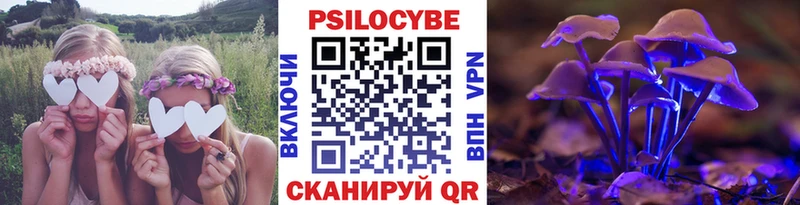 Псилоцибиновые грибы GOLDEN TEACHER  как найти закладки  Скопин 